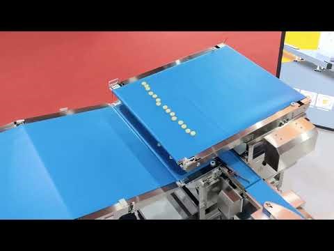 Sinking 1-to-2 Auto-Feeding Packing Line | Complete End-of-Line Solution