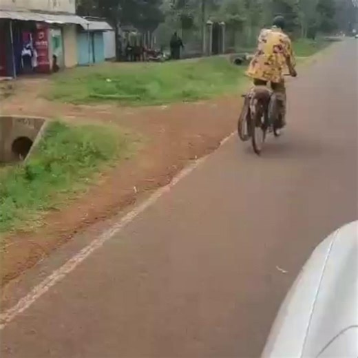 Villager heads to police to report python attack that killed his dog Video by Mary Imenza