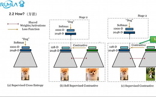 文献阅读-有监督的对比学习Supervised Contrastive Learning提高图像分类效果