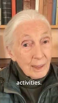 Dr. Jane Goodall's 2024 World Swift Day Message