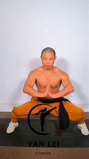Shifu Yan Lei on Instagram: "Master the Five Fundamental Stances and you master the forms. Horse Stance is a great way to practice static stamina. When we practice, we must be precise. #kungfu #horsestance #shaolinkungfu #shaolinqigong #kungfuonline"