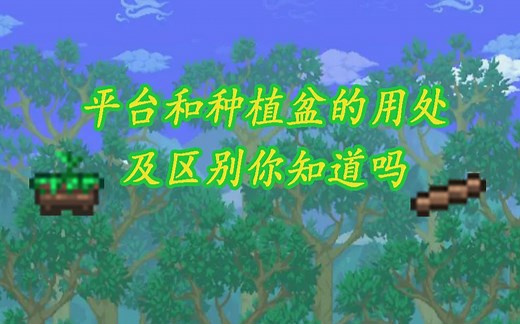 【Terraria】平台 种植盆