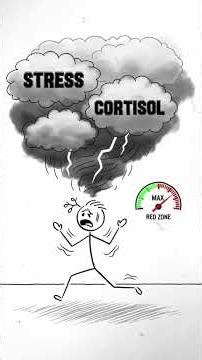 Why Your Brain Feels Overloaded Every Day.