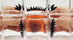 Watch magnetic fields with ferrofluid in a bottle 😮😮 | Magneticgames