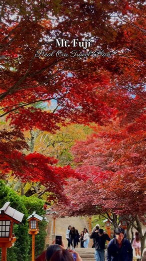 🎬 Fuji Views Day: The Ultimate First-Timer Itinerary! 🗻 You asked for the plan—here is how I’m hitting the two best Fuji viewpoints in one day, optimized for those crystal-clear morning views! Departure Strategy: Caught the Fuji Excursion Limited Express from Shinjuku to start the day fast! Stop 1: Chureito Pagoda (The Iconic Shot!) 1. Arrive Early: Got off at Shimoyoshida Station (the stop before Kawaguchiko). 2. The Climb: Tackling those 398 steps (or the gentle path) to get the classic pago