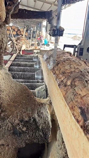 Massive Log Sawing With Smooth, Clean Cuts #woodcutting #sawblade #sawmill