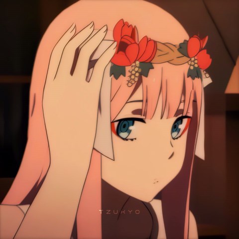 Zero Two vs Ichigo: Who is Your Favorite Character?