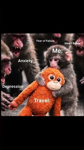 🗣️ Why is travel so important for you ? 👀🫠
