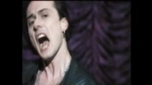 Suede - Animal Nitrate 【PV】