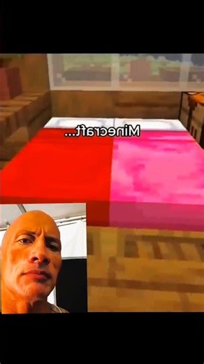 #minecraft meme 😭