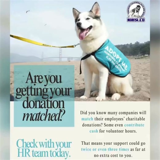 👯Double your impact with a matching donation! Companies like Adobe, Airbnb, Apple, Autodesk, Chevron, Facebook (Meta), Gap Inc., Google, Levi Strauss & Co., LinkedIn, PG&E, Visa, Wells Fargo and many more all participate in these programs. Why This Matters *Multiply your impact instantly: Your $50 donation could become $100 or more. *Recognize your volunteer hours, too: Some employers give grants for time spent volunteering. *Support our mission: These additional contributions help us save more
