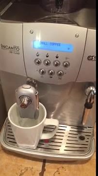 Saeco Incanto Deluxe Problems