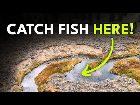 Fly Fishing Strategies for EVERY Type of River | Ep. 101