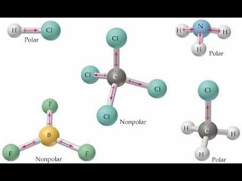 Moleculas polar y no polar: Como saber si una molecula es polar o apolar