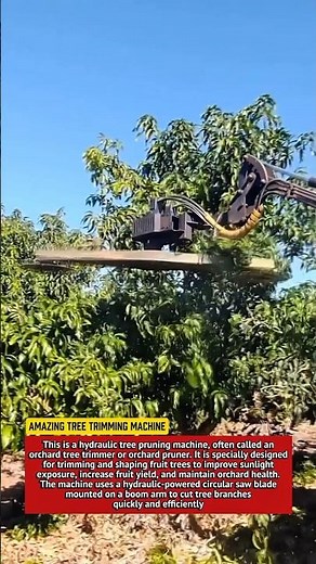 Amazing Tree Trimming Machine | Hydraulic Orchard Pruner in Action.