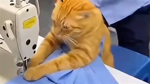 通关密码：VIP666，叫上好友一起来！