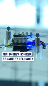 43K views · 29 reactions | Boffins in the Netherlands are creating quite a buzz. They are making a beeline for insects as swarm drones are tipped to sniff out gas leaks in future tech. #Science #Tech #Drones #Nature | CGTNEurope | Facebook