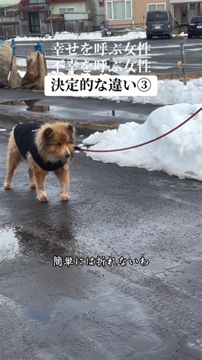 信頼関係の大切さと築き方