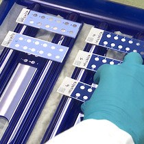 Video: Simultaneous Distinction of Monospecific and Mixed DFS70 Patterns During ANA Screening with a Novel HEp-2 ELITE/DFS70 Knockout Substrate