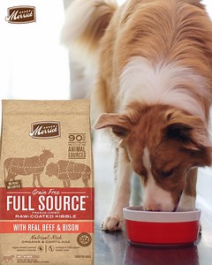 Dogs love Merrick Full Source Freeze-Dried Raw-Coated kibble. Full Source goes full Nose-To-Tail, utilizing more of the animal, like nutrient rich organs and cartilage, so 85-90% of the protein comes from animal sources. | Merrick Pet Care