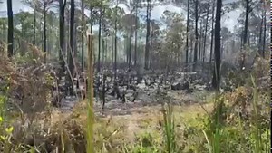 4.6K views · 32 reactions | HOT SPOTS  Crews on Monday are continuing to fight a brush fire in Port St. Lucie that engulfed three homes over the weekend. LATEST >> https://bit.ly/3fbhjdY | WPTV | Facebook
