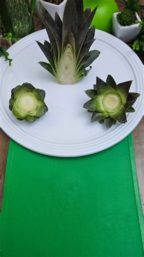 Using the pineapple crown for decoration 🍍 #pineapple #foodart #easyrecipes #buffet