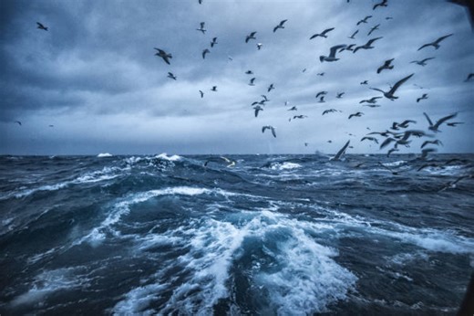 Quelle est la différence entre un océan et une mer? - MétéoMédia