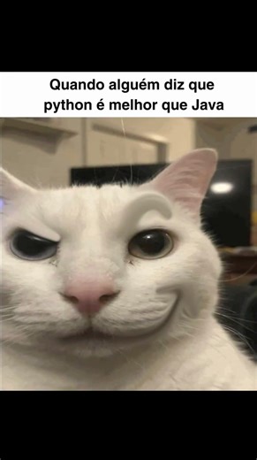 java ou python? 👀#shorts #memes #programação #java #python