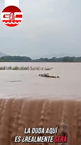 🐊Circula un video en redes sociales donde presuntamente se puede ver un cocodrilo supuestamente en La presa “El Jileño”, ¿será el Jileño o es otro lugar? ¿Qué opinas? | Grilla en la costa de Rodimiro Becerra