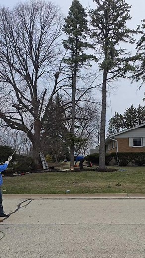 David Stone on Reels