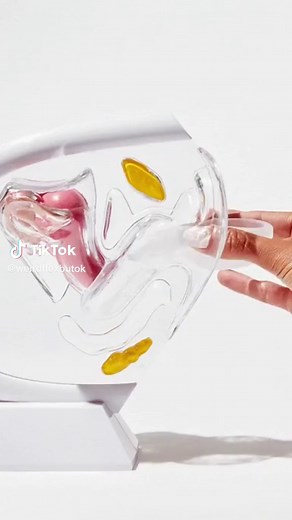 Flex Period Disc: Comfort for Your Menstrual Cycle