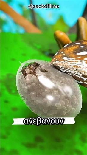 Μην πατήσεις αράχνη, είναι επικίνδυνο! 🚫🕷️