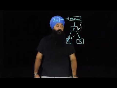 Learn how MariaDB MaxScale works with multiple MariaDB instances for HA