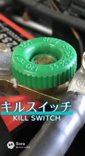 What is the purpose of a battery "kill switch"? #killswitch #deadbattery #vintagecar #maintenance...