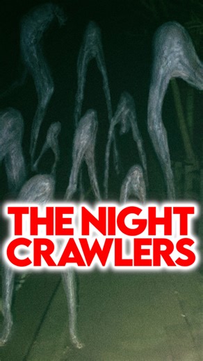Fresno Nightcrawlers: Fresno, 2007. A home security camera captured something extraordinary: a small, pale figure with no arms and unnaturally long legs moving silently across a lawn. In 2011, a larger version was filmed in Yosemite. Since then, the “Fresno Nightcrawler” has been seen as far away as Poland. Are they aliens, spirits, or undiscovered life forms? For now, no one knows. Music: “Hourglass” - Survive. Art: Jose Sebastian Murillo Diaz, Trevor Henderson, Max Marin, itsbloogr, Julian Mih