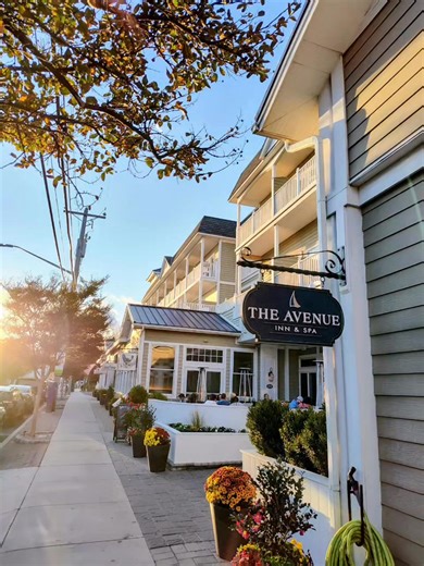 The Beauty of a Fall Evening on Wonderful Wilmington Avenue....🍂 | The Avenue Inn & Spa