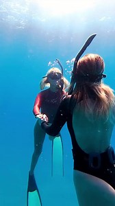 Where did the dolphins come from! (make sure to not approach dolphins from within 50 yards) #hawaii #underwater #ocean #swim #swimming #dive #diving #diver #water #explore #adventure #fyp #foryou #hawaiian #hawaiilife #hawaiianstyle #mahalo #oceanlife #tropics #oceanside #oceanviews | CEO Of The Ocean