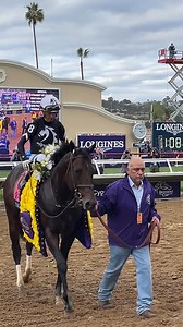 18K views · 624 reactions | Straight No Chaser (Speightster) gave chase and never looked back, winning the GI Breeders' Cup Sprint  Owned by MyRacehorse, trained by Dan Blacker, ridden by Johnny Velazquez, bred by John Eaton & Steve Laymon. | Thoroughbred Daily News | Facebook
