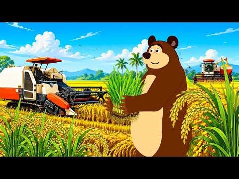 The Bear Farmer! 🐻 Giant Combine Harvester in Action 🚜🌾🌞 | Cozy Bear Farm