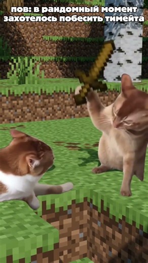 mc.GriefTool.pw #minecraft #майнкрафт #funtime #reallyworld #holyworld #memes #edit #epic #читы