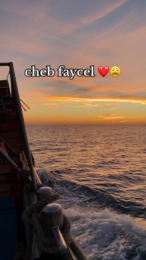#cheb_faycel #rai #dz #algeria #dzair🇩🇿