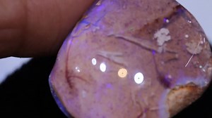 4.3K views · 23 reactions | ✨ Unearth a treasure from the deep time!...