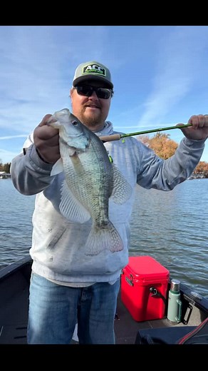 Big day for Reagan Smith, Matt Copple, and the boys! Charlie Brewer’s Slider Crappie Grubs were the hot bait! Give Reag’s Guide Service a call — they’re on the fish! 📱 309-642-8107 CentralILCrappieGuide.com. #CharlieBrewersSlider #SliderNation #sliderfishing #crappie #crappiefishing | Charlie Brewer's Slider Company