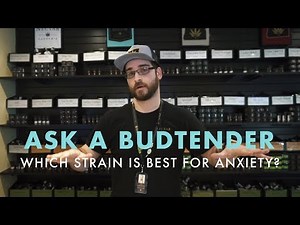 Which Strain Is Best For Anxiety? | Ask A Budtender