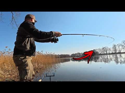 MEGA opening for METHOD FEEDER!!! I didn't expect that!!!