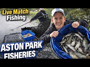 Live Match Fishing: Aston Park Fisheries - Stable lake
