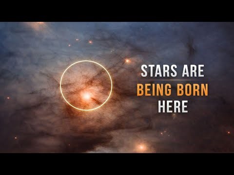 A Real Tour Inside a Star-Forming Nebula | NGC 1333 (NASA Hubble) #space #spaceexploration #science