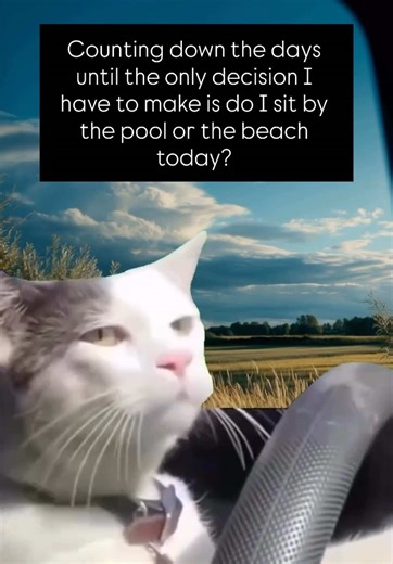 Follow us for more travel contents Share & Tag someone that can relate, follow us for more. #travel #traveltip #travelmemes #travelhumor #destination