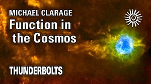 Function in the Cosmos