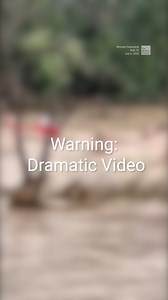 Dramatic video shows rescuers using ropes, life rings, and flotation devices to save a woman swept into rushing floodwaters in Wall, Texas. The woman survived and was transported to the hospital, where she is recovering. | The Weather Channel
